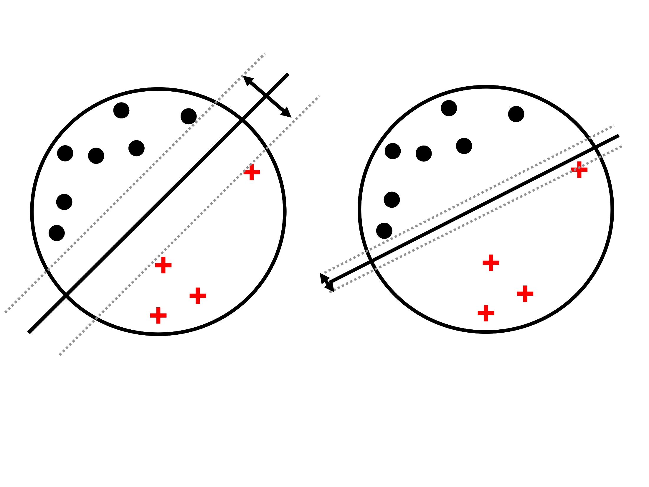 from Murphy figure 17.12